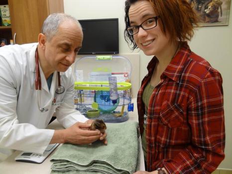 Image for Tower Hill-Bathurst Animal Hospital with ID of: 6203136