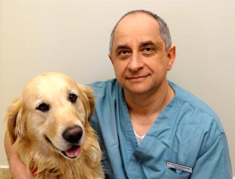 Image for Tower Hill-Bathurst Animal Hospital with ID of: 6203142