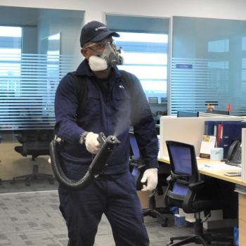 Image for Anticimex Pest Management with ID of: 6204621
