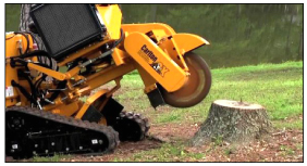 Image for Jack's Stump-Be-Gone with ID of: 6205312
