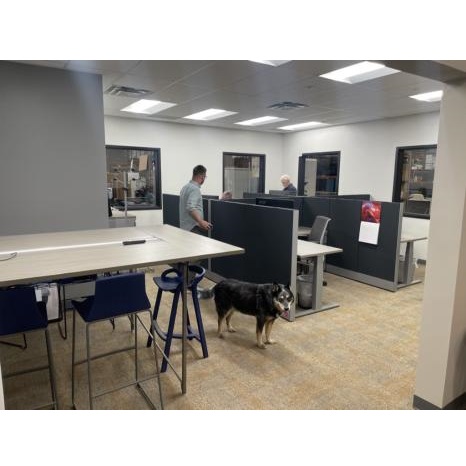 Image for Pear Project Services with ID of: 6209172
