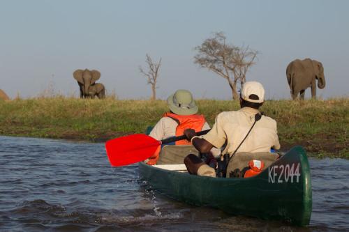 Image for Next Adventure, Inc. with ID of: 6212522