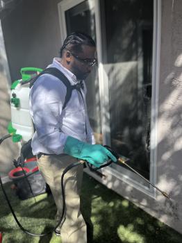 Image for All Pests with ID of: 6213778