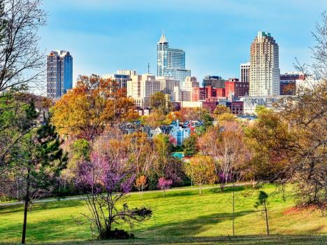 Image for Apogee Behavioral Medicine - Raleigh with ID of: 6214255