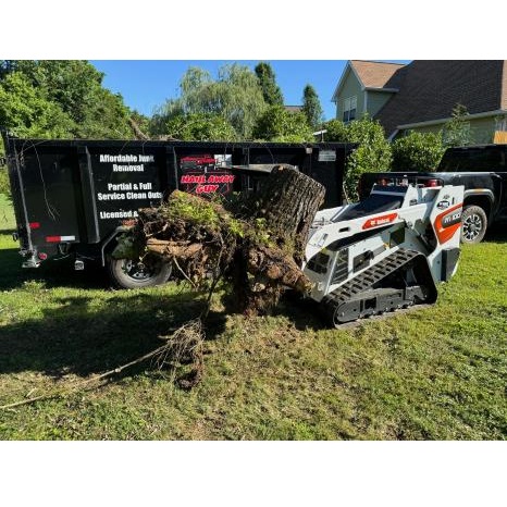 Image for Haul Away Guy with ID of: 6217973