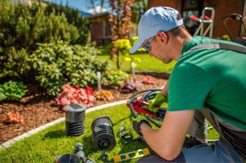 Image for Teachers Irrigation with ID of: 6219049