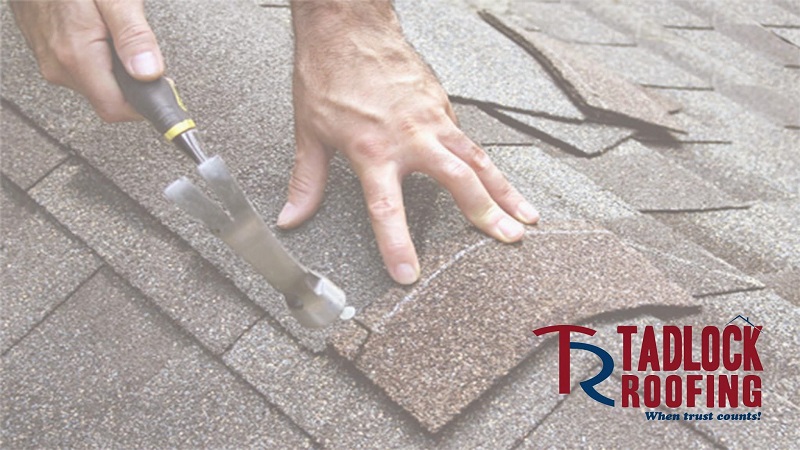 Image for Tadlock Roofing with ID of: 6220485