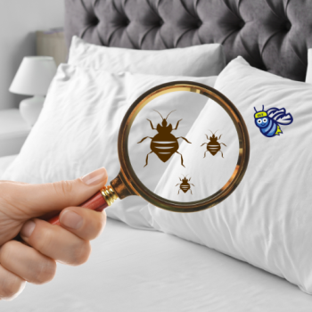 Image for Firefly Pest Control with ID of: 6222462