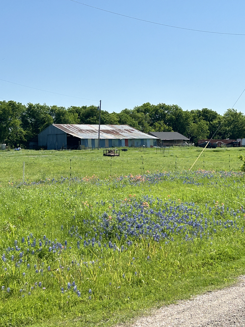 Image for PREAM Lands with ID of: 6225382