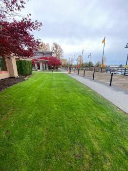 Image for Bluestone Landscape Ltd with ID of: 6226242