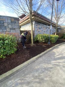 Image for Bluestone Landscape Ltd with ID of: 6226244
