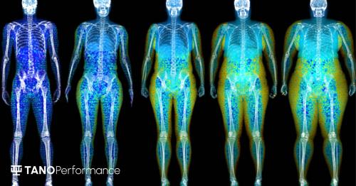 Image for TANO Performance - Body Composition & DEXA Scans with ID of: 6228842