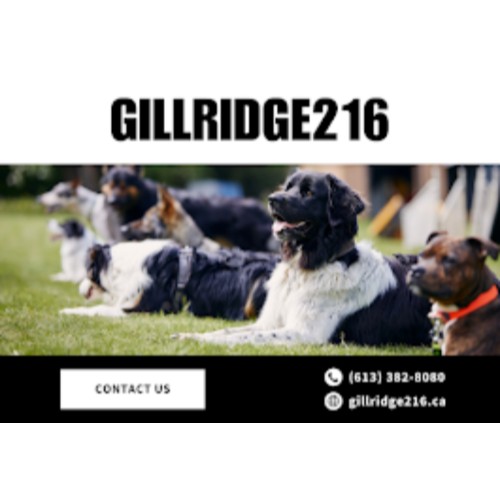 Image for Gillridge216 with ID of: 6702777