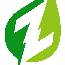 Image for ZAP Electric with ID of: 6702887
