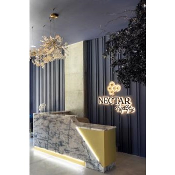 Image for Nectar Aesthetics Med Spa - Orlando with ID of: 6232665