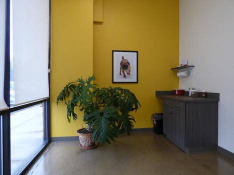 Image for Legacy Veterinary Clinic with ID of: 6237875