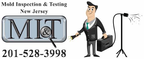 Image for Mold Inspection & Testing New Jersey with ID of: 6238215