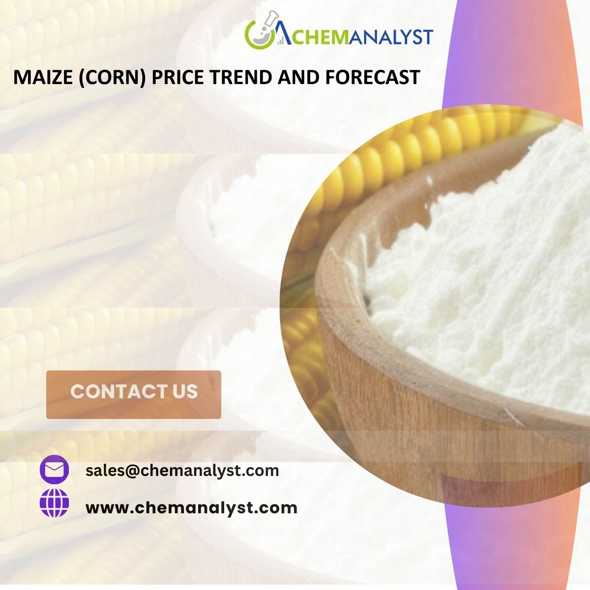 Image for Latest Maize (Corn) Price Trends and Demand Forecast Analysis with ID of: 6707998