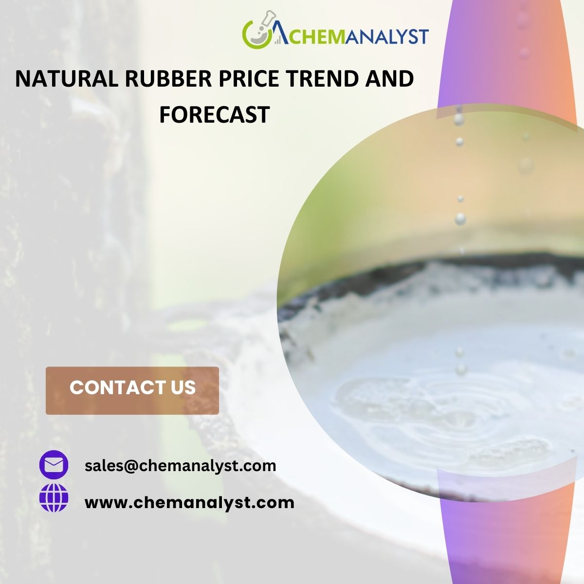 Image for Natural Rubber Price Index Tracker: Demand, Supply, and Future Forecast with ID of: 6708022