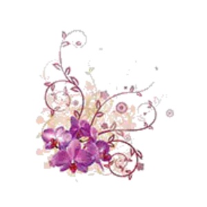 Image for Hepatica Florist with ID of: 6708777
