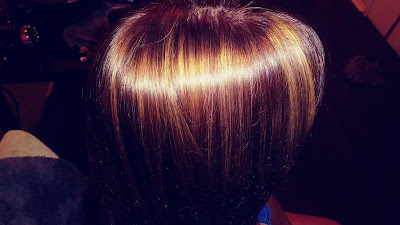 Image for Paul Mitchell The School Arlington with ID of: 6240258
