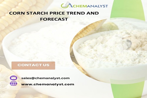 Image for Latest Corn Starch Price Trends and Demand Forecast Analysis with ID of: 6709832