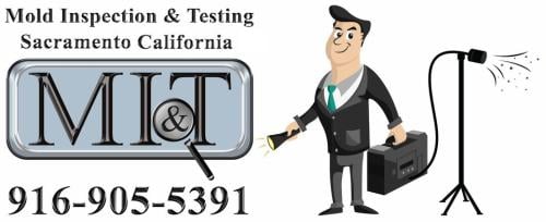 Image for Mold Inspection & Testing Sacramento with ID of: 6241815