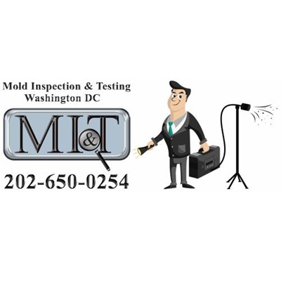Image for Mold Inspection & Testing Des Moines with ID of: 6241983