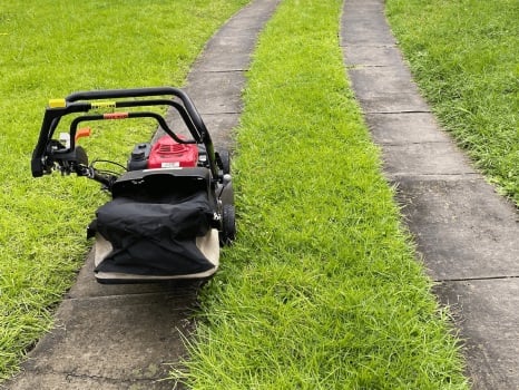 Image for Mr Lawn Man with ID of: 6243726