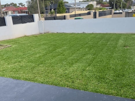 Image for Mr Lawn Man with ID of: 6243728