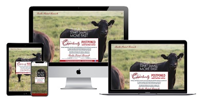 Image for VanDenBerg Web + Creative with ID of: 6246292