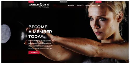 Image for Peritum Studios - Web Design Brisbane with ID of: 6247380