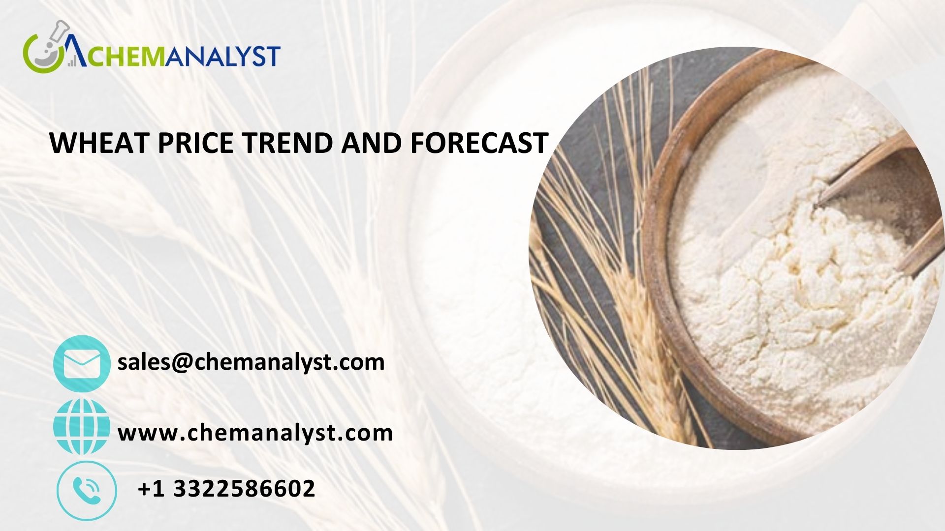 Image for Wheat Price Chart and Index: Tracking Global Demand with ID of: 6711955
