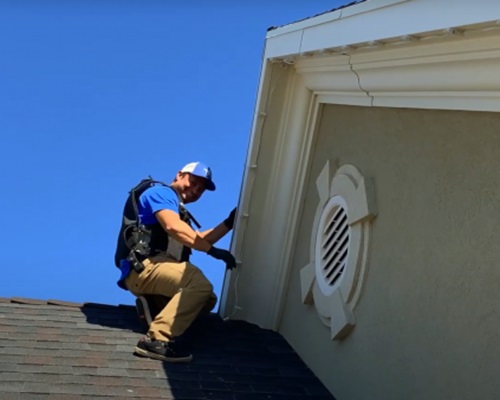 Image for Lawn Thumbs with ID of: 6248250