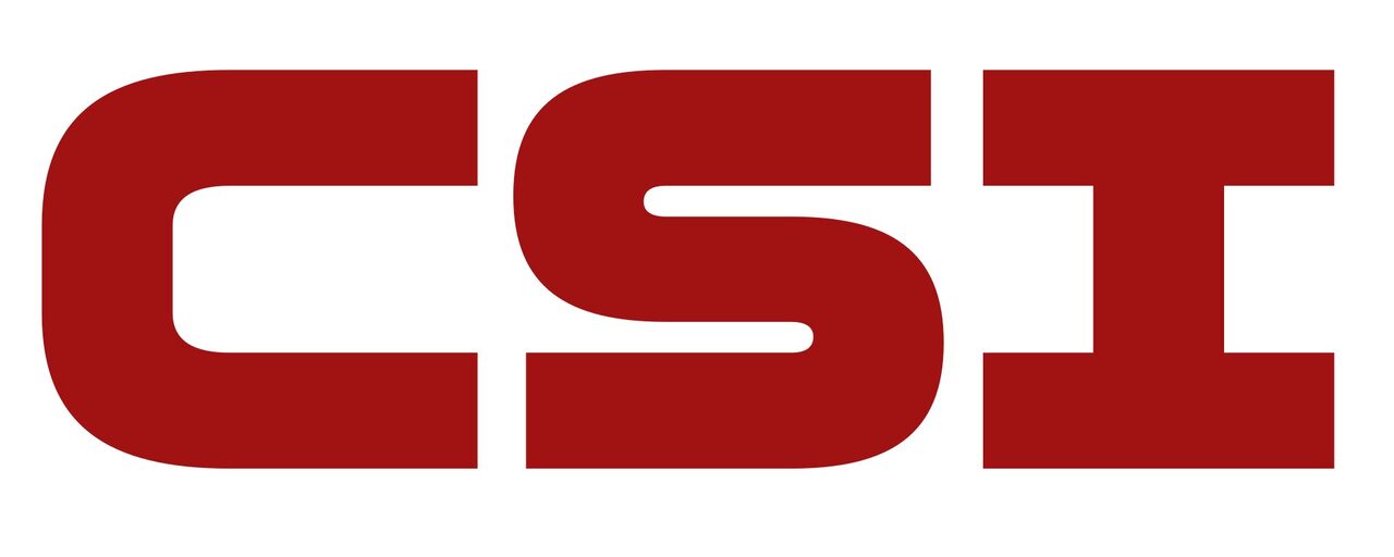 Image for CSI Security with ID of: 6715799