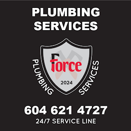 Image for Force Plumbing Services with ID of: 6715827