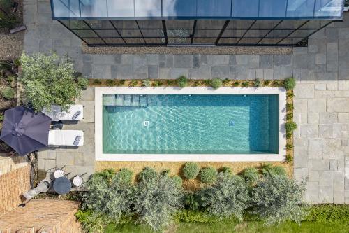 Image for Aquaria Pools with ID of: 6250649