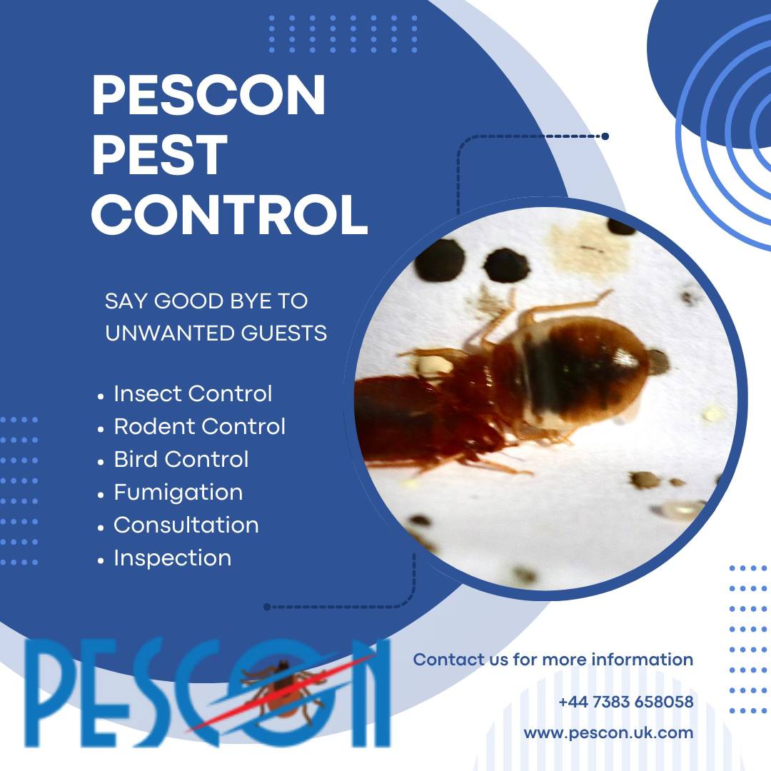 Image for Pescon Pest Control with ID of: 6251103