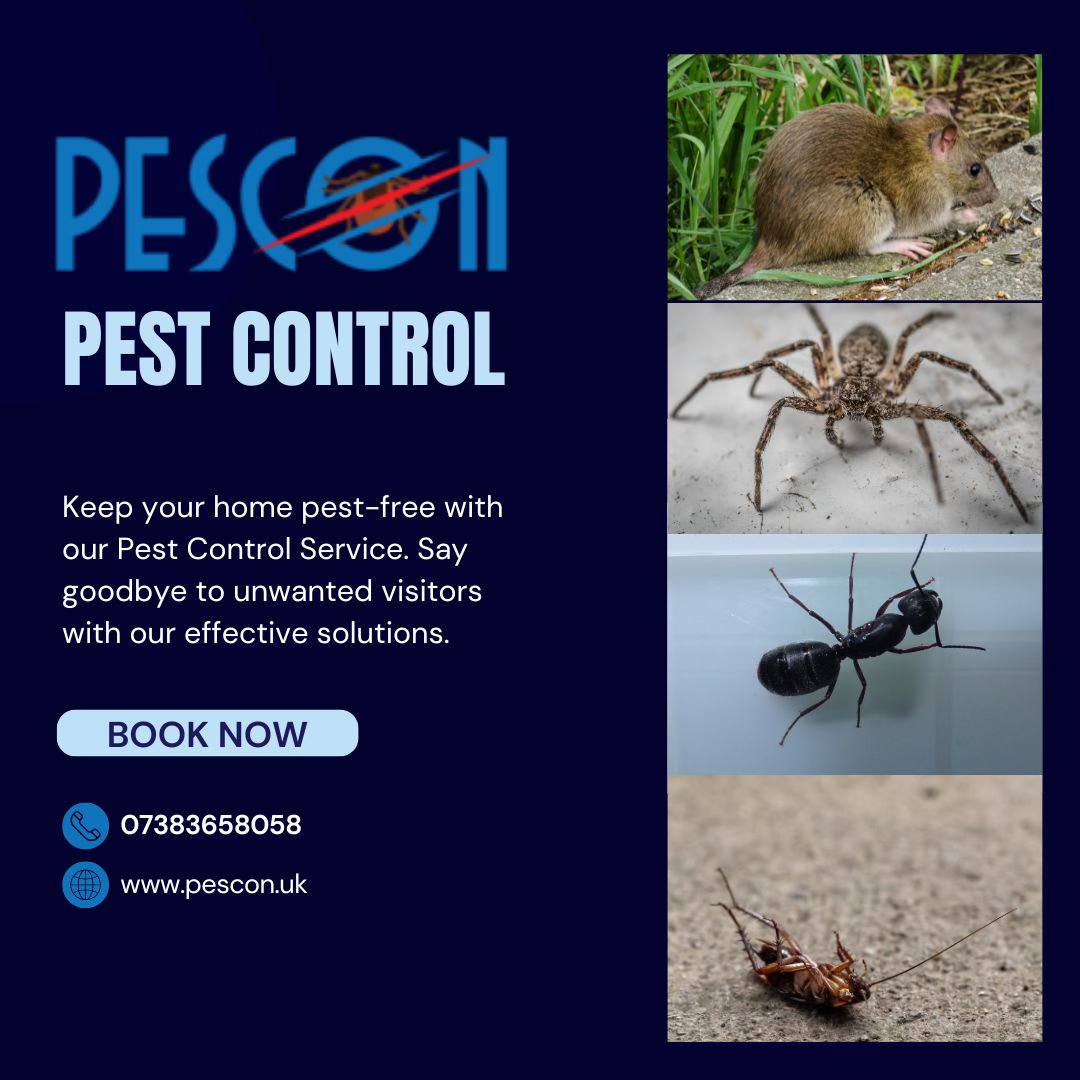 Image for Pescon Pest Control with ID of: 6251104