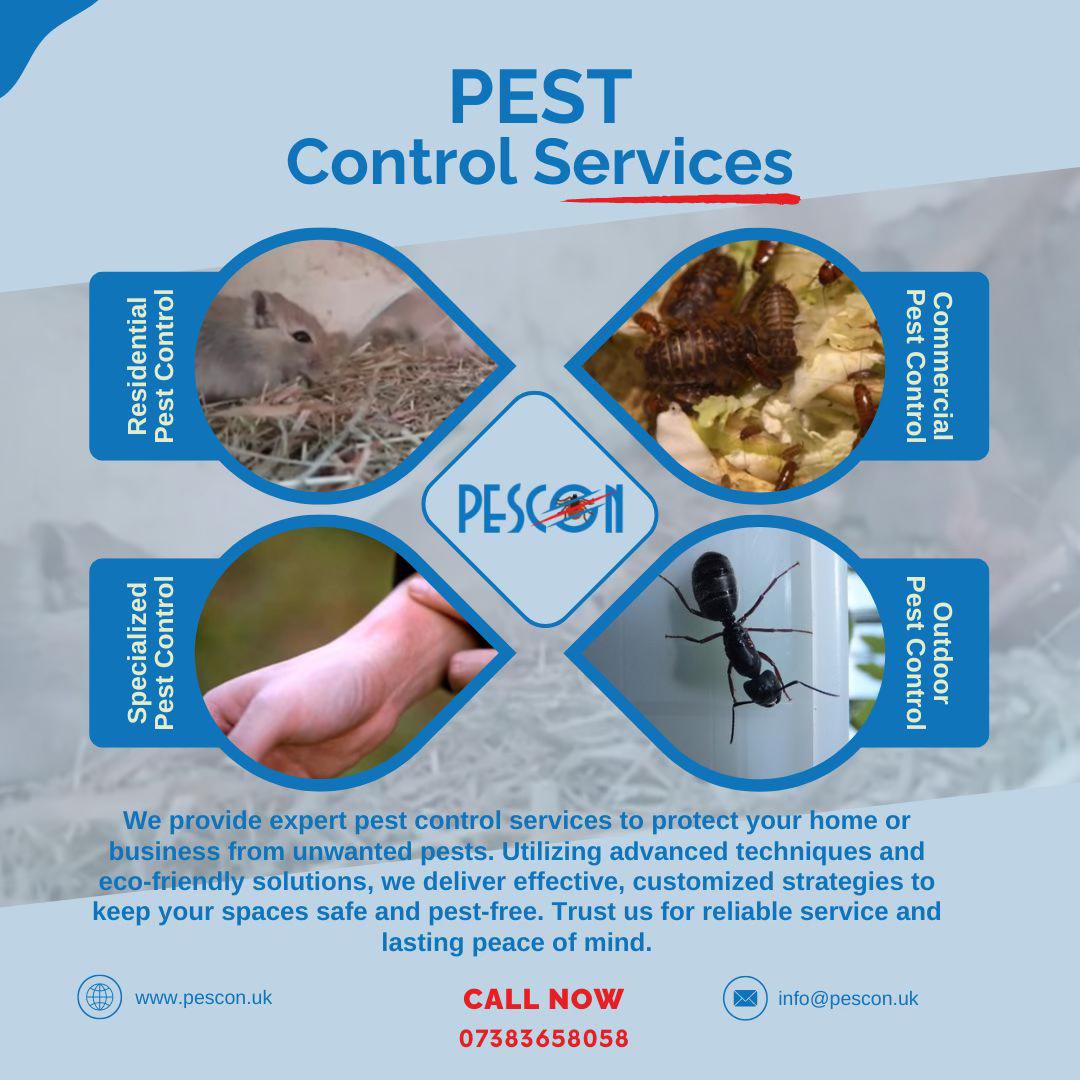 Image for Pescon Pest Control with ID of: 6251106