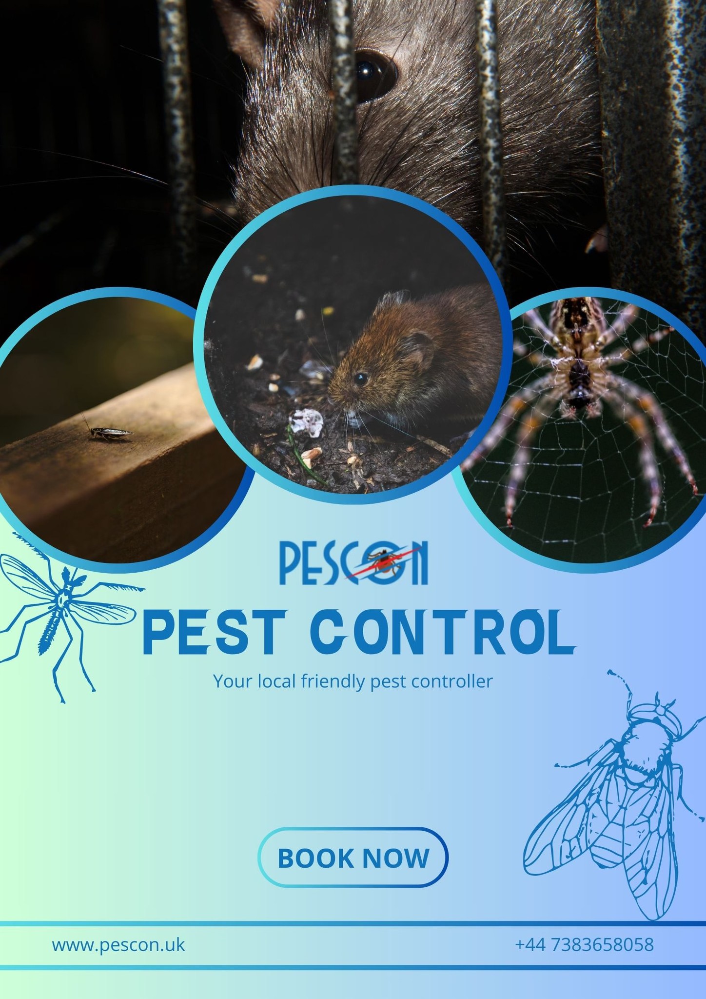 Image for Pescon Pest Control with ID of: 6251107