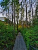 Image for Capilano University with ID of: 6251433
