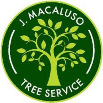 Image for J. Macaluso Tree Service with ID of: 6717648