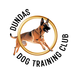Image for Dundas Dog Training Club with ID of: 6719198