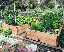 Image for Surfcoast Veggie Gardens with ID of: 6255662