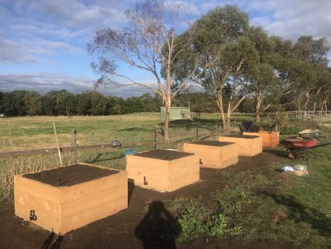Image for Surfcoast Veggie Gardens with ID of: 6255663