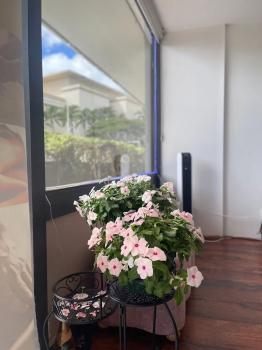 Image for Jade Flower Massage Spa with ID of: 6258187