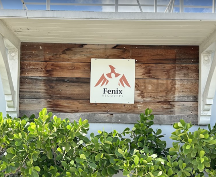 Image for Fenix Recovery LLC with ID of: 6258550