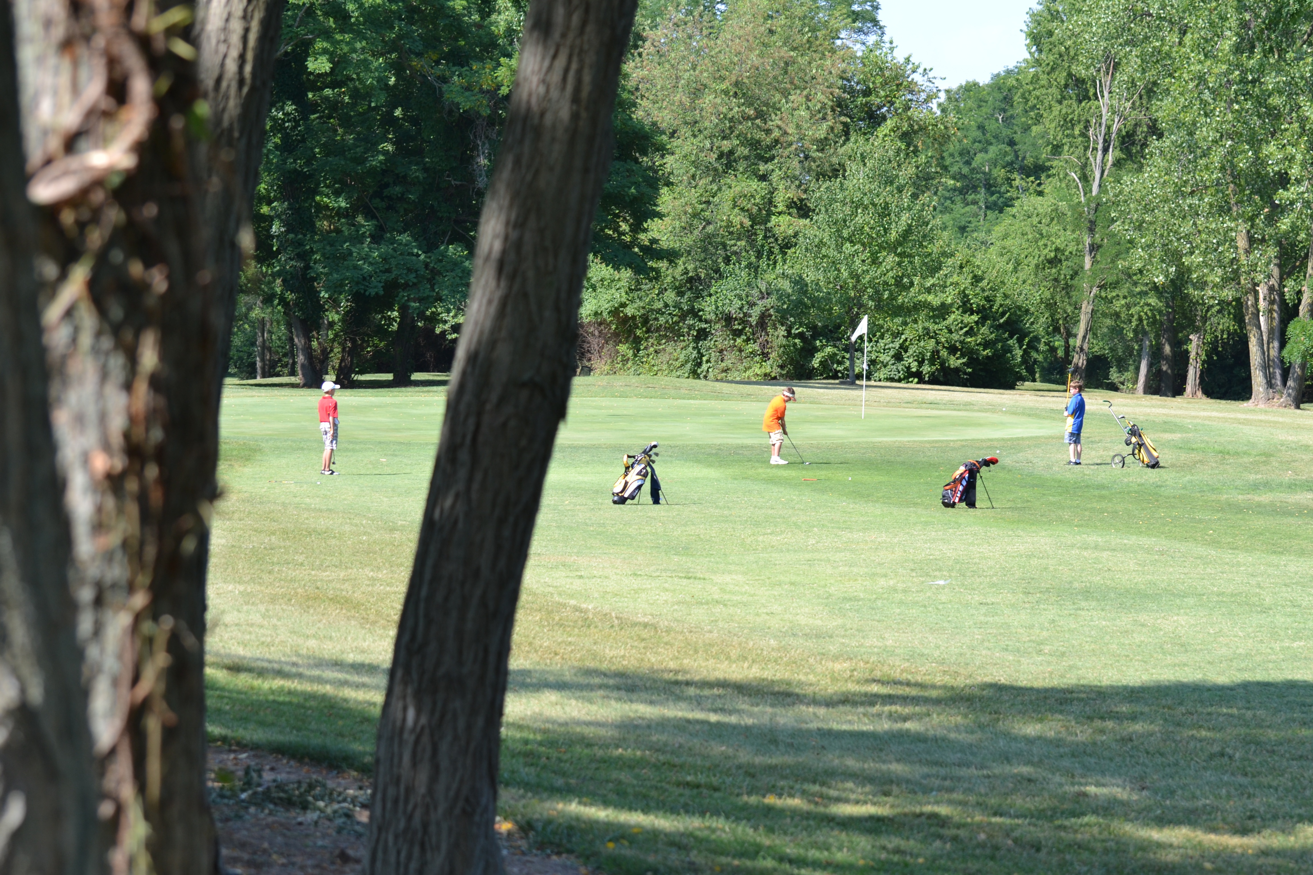 Image for Eagle Springs Golf Course with ID of: 6259357