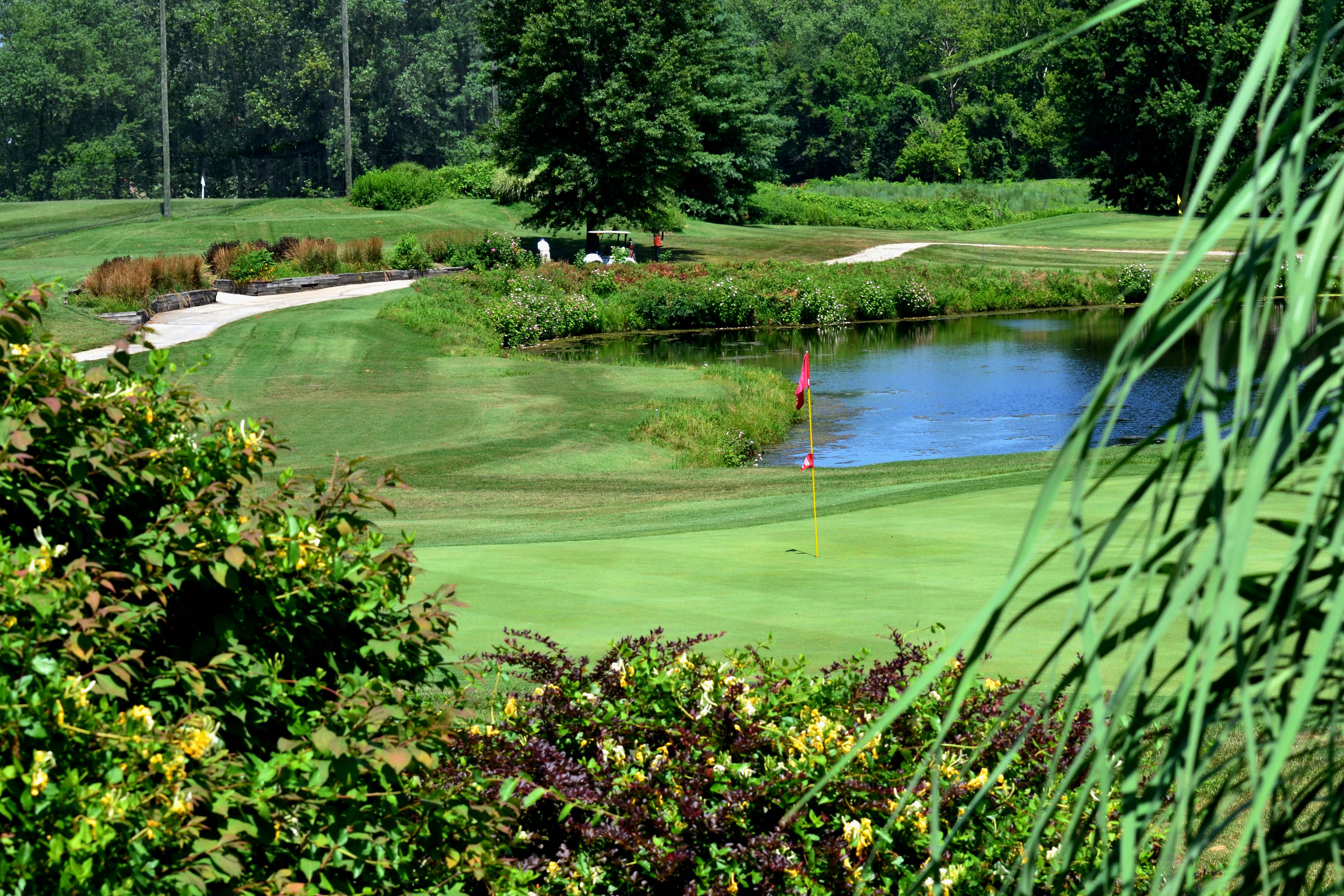 Image for Eagle Springs Golf Course with ID of: 6259360